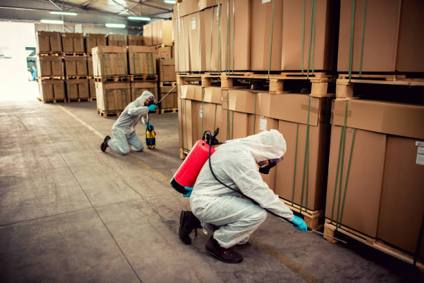 Best Residential Pest Control  in Diboll, TX