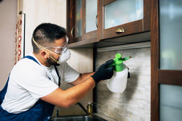 Best Cockroach Control Services  in Diboll, TX