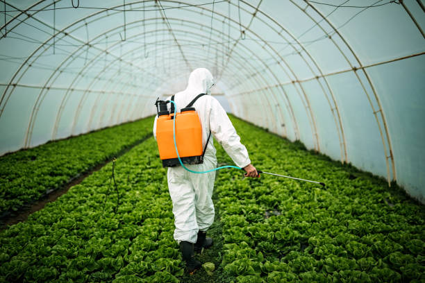 Best Best Pest Control Companies  in Diboll, TX