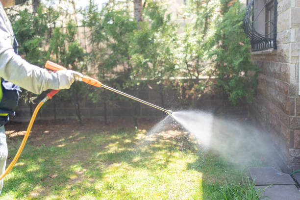 Best Pest Control Near Me in Diboll, TX