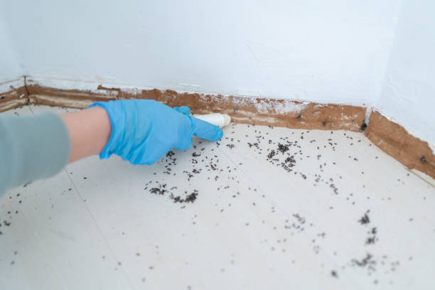 Best Wildlife Control Services  in Diboll, TX