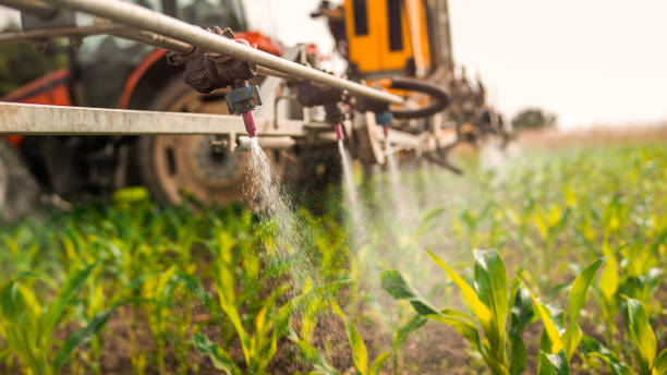 Best Pest Control for Businesses  in Diboll, TX
